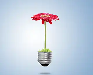 turn ideas into solutions with illusys