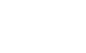 iLLuSys Limited
